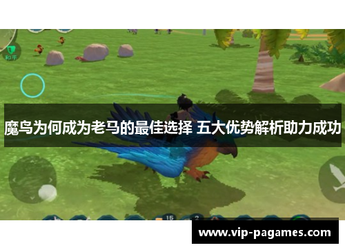 魔鸟为何成为老马的最佳选择 五大优势解析助力成功
